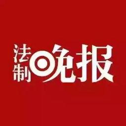 印度生活新闻最新爆料,最新爆料揭示惊人真相,民众热议不已!
